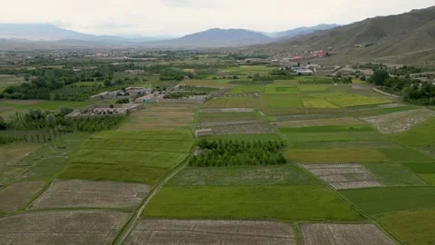 The Beauty of Lush Fields Video stock 274532974