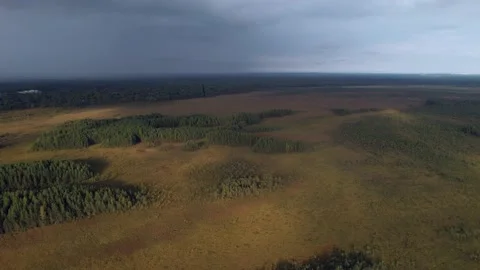 The beauty of the meadows Stockbeeldmateriaal 161356964