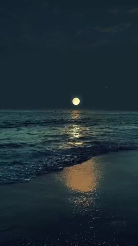 The beauty of the moon Stock Footage 304119799