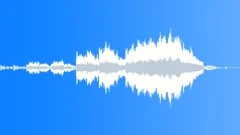 Beauty Stock Music