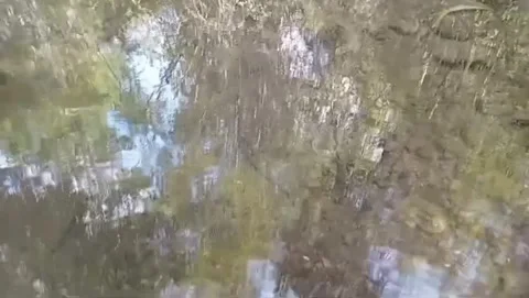 The beauty of natural reflection in the river flow. 스톡 동영상 336903674