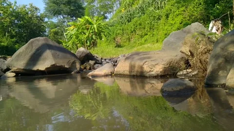 Beauty in nature Stock Footage 273426392