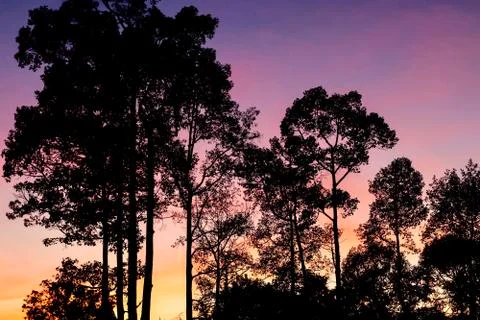 The beauty of nature Stock Photos