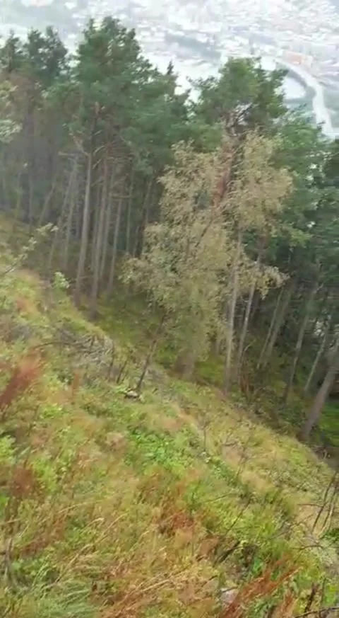 Beauty of norway Stock Footage 165176547