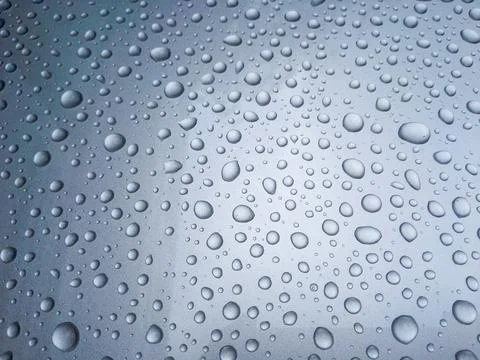 Beauty of the rain drops. Foto stock
