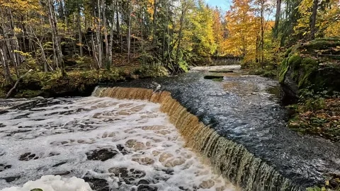 The beauty of the rapids Stock Footage 289112443