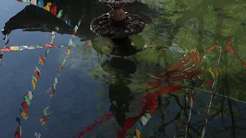 Beauty reflaction on surface watter. Stock Footage 258662434