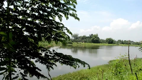 The beauty of the river Stock-Footage 230212027