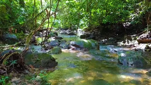 Beauty River Stock Footage 313117680