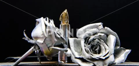 Beauty salon. Glamour metallic lipstick. vintage retro design. wealth and Stock Photos