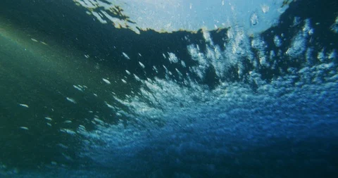 The beauty of the sea Stock Footage 103898488