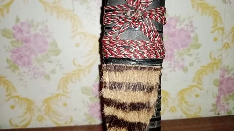 The beauty of a special weapon 库存影片 213556352