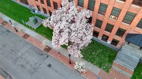 Beauty of Spring - Syracuse, NY Stock Footage 336597825