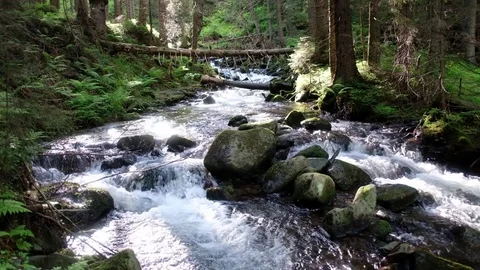 Beauty stream on mountain Stock-Footage 81801415
