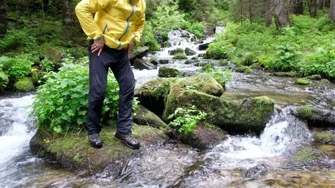 Beauty stream on mountain Stock Footage 81801460