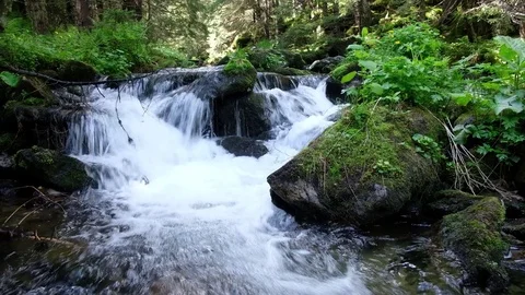 Beauty stream on mountain Video stock 81801476