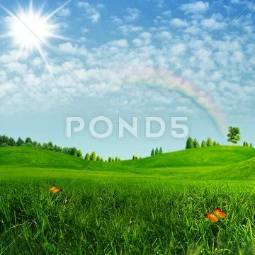 Beauty summer. abstract environmental backgrounds Stock Photos