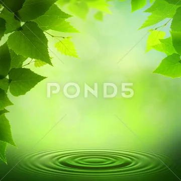 Beauty summer backgrounds with copy space for your design Stock Photos