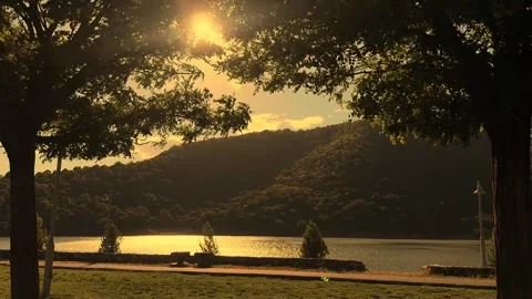The beauty of sunlight Stock Footage 316573726