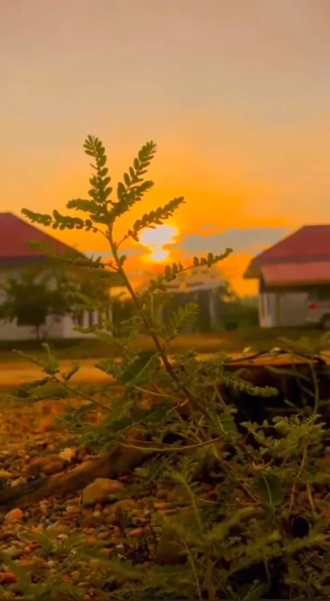 The Beauty of a Sunset that Sweeps the Sky Stock Footage 262584801
