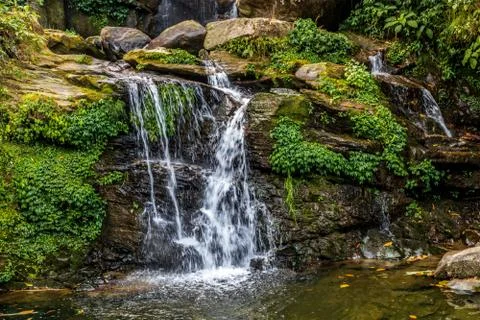 Beauty of a Tiny Waterfalls in rock garden darjeeling Stock Photos