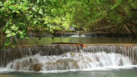 Beauty water fall in deep forest Stock Footage 72695634