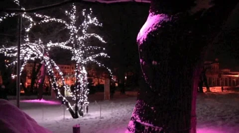 Beauty Winter 1 Stock Footage 10574323