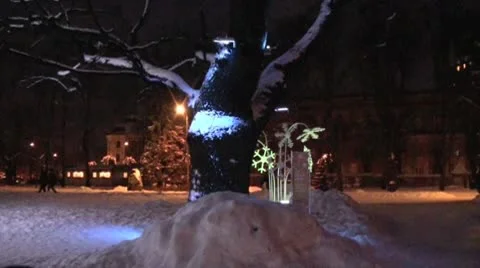 Beauty Winter 3 Stock Footage 10574332