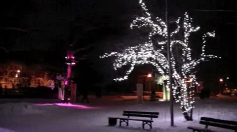 Beauty Winter 4 Stock Footage 10574336