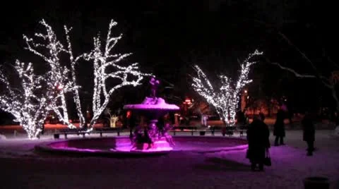 Beauty Winter Stock Footage 10574317