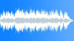 The Beauty of You Stock Music
