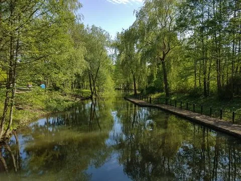 Beautyful water canal in the spree forest Stock Photos
