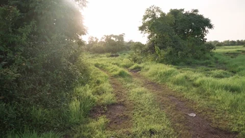 A beautyfull views of Indian fields Vídeo Stock 167429548