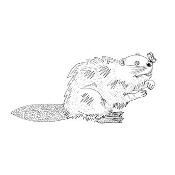 Beaver and Butterfly. Illustrazione stock