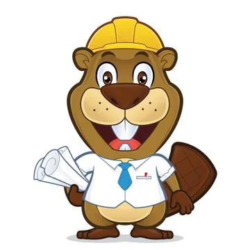 Beaver architect Stock Illustration