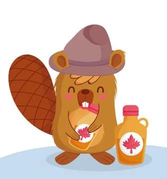 Beaver with canadian maple syrup vector design Stock Illustration