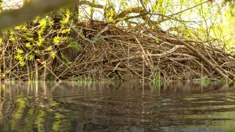 Beaver Castle Stock Photos