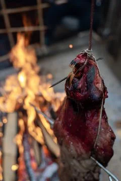 Beaver Cooking Foto stock
