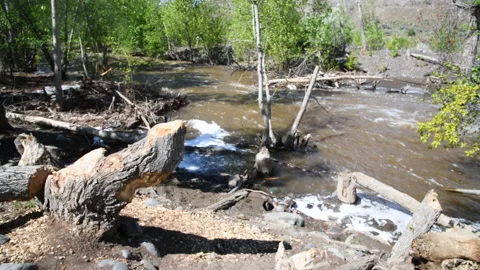 Beaver dam and pond washed out by spring flooding, 4k Stock-Footage 224554616