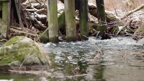 Beaver dam under bridge Stock Footage 72602460