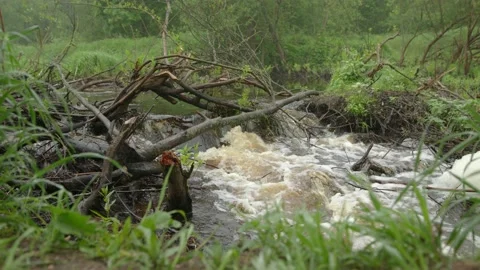 Beaver Dam. Water passes through barrier of trees, boils violently forming foam Stock Footage 132506065