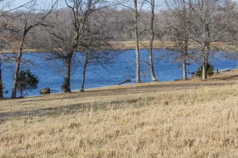 Beaver damage to a tree alongside a small lake, winter Stock Photos