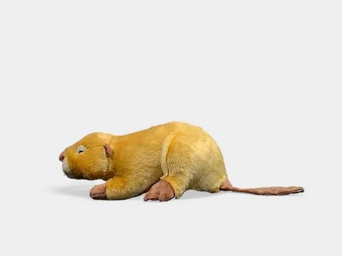Beaver doll on a white background Stock Photos