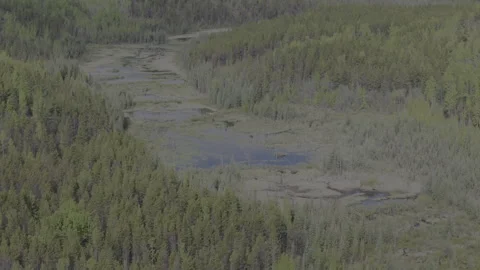 Beaver Engineering: Aerial Shot of Dam in Canadian Wilderness Stock Footage 296825412