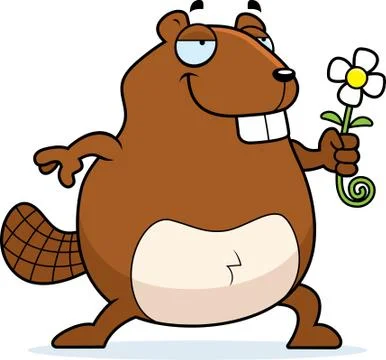 Beaver Flower Stock Illustration