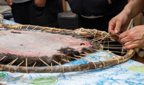 Beaver Fur Foto stock