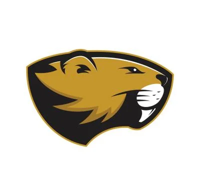 Beaver head mascot Stock Illustration