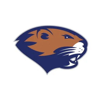 Beaver head mascot Stock Illustration