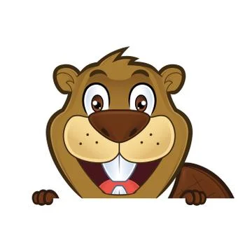 Beaver holding and looking over a blank sign board Stock Illustration