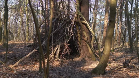 Beaver Hut On The Edge Of The Forest in 4K Slow motion 60fps Vídeo Stock 131022689